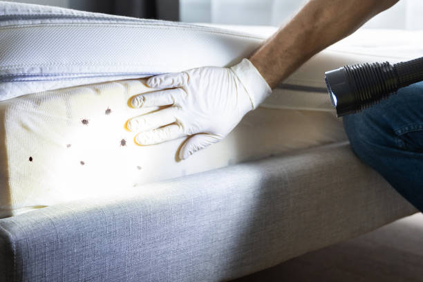Trusted Clinton, PA Pest Control Experts